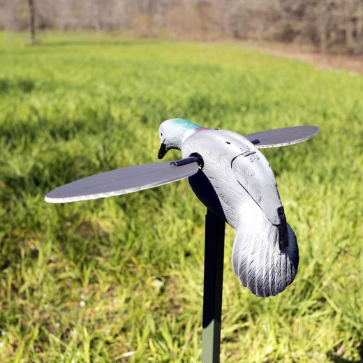 MOJO Pigeon – realistični mamac za golubove