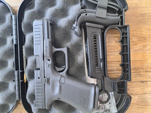 Glock 44, 22 lr
