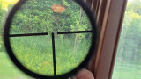Optika Schmidth Bender 6x42