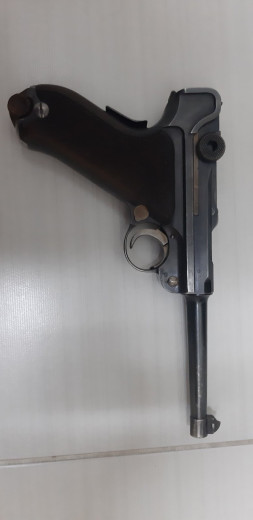 Švajcarski luger M06/24