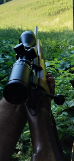 Lovački Karabin Bergara B14