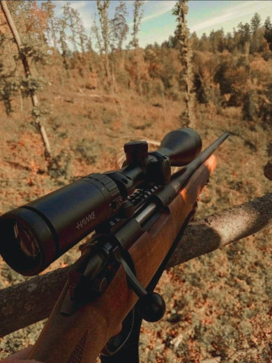 Lovački Karabin Bergara B14