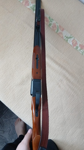 Baikal iž43 e