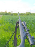 Mausser mp 18 Vortex 3-9x50