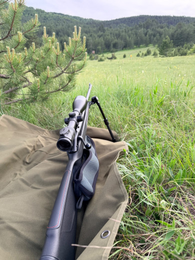Blaser R8 .270w Monza
