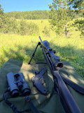 Blaser R8 .270w Monza