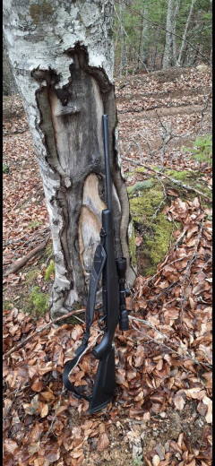 Bergara B14 Sporter
