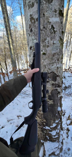 Bergara B14 Sporter
