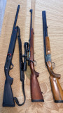 Ruska bokerica 12