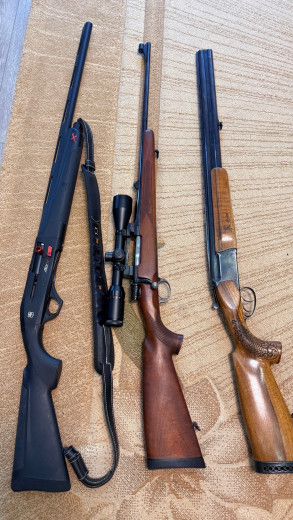 Ruska bokerica 12