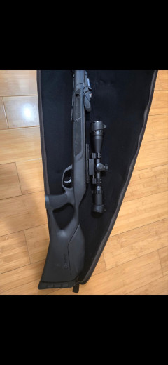 Gamo Magnum 5.5mm
