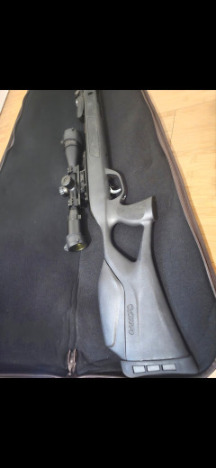 Gamo Magnum 5.5mm