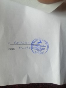 Vazdusna puska