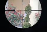 Optički nišan Tasco 3-9x40 IR