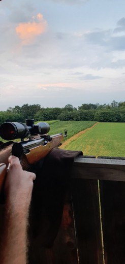 Papovka sa optikom  prepravljena