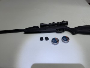 Maxim 10