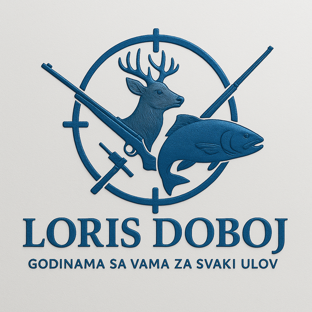 Loris Doboj